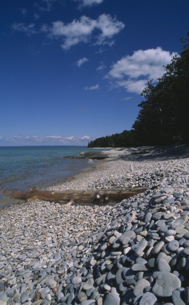USA, Michigan, Lake Michigan, "View along shoreline with pebble beach, driftwood and breakwaters,