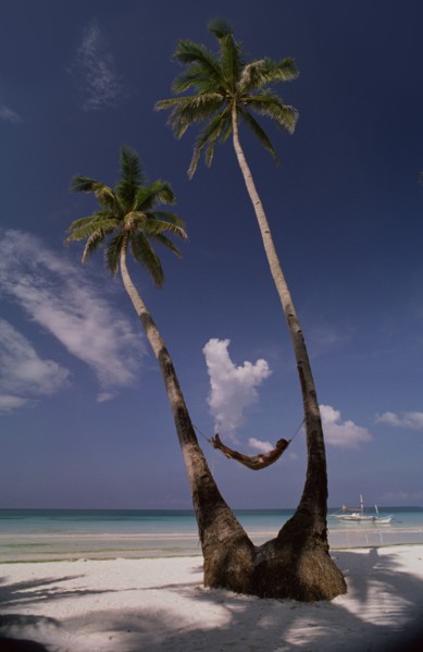 PHILIPPINES, Boracay Island, Man lying in hammock between two coconut palm trees on beach with a