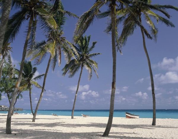 WEST INDIES, Barbados, Saint Philip, Sam Lords Castle Hotel beach with coconut palm trees and a