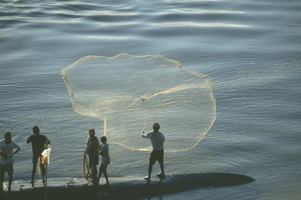 BRAZIL, Amazon, Rio Madeira River, Fishermen standing on long boat casting net