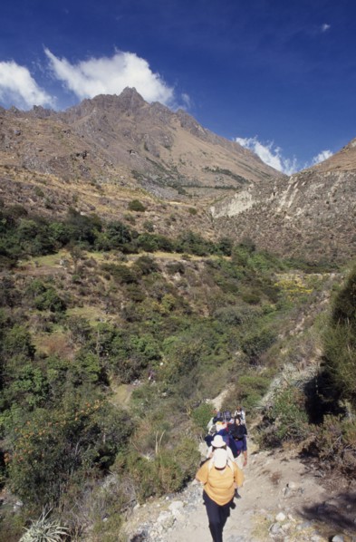 PERU, Cusco Department, The Inca Trail, "Treckers with back packs walking up a narrow pathway,