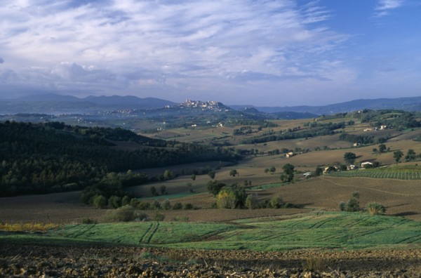 ITALY, Umbria, Todi, View across fields and hillside towards the hilltown of Todi.