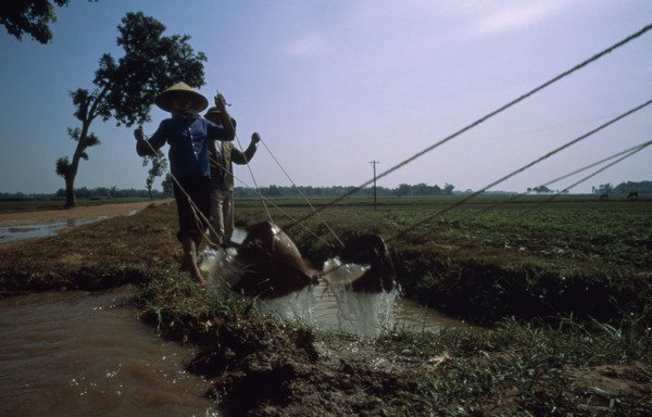 VIETNAM, Agriculture, Irrigation, Irrigating paddy fields along the road to Ha Bac.