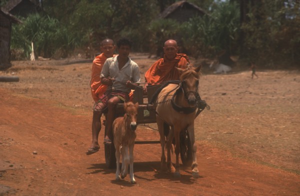 CAMBODIA, Religion, Monks on a horse drawn cart on National Route 6 to Kompong Thom.