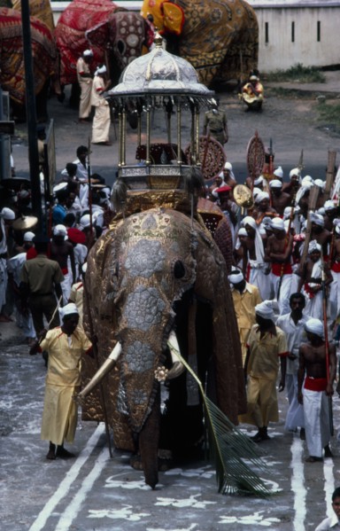 SRI LANKA, Kandy, "The Esala Perahera honouring the sacred Buddhist tooth relic of Kandy.  The