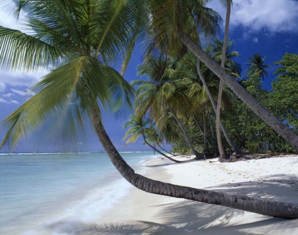 WEST INDIES, Tobago, Pigeon Point, "View along empty, sandy beach with aquamarine water and