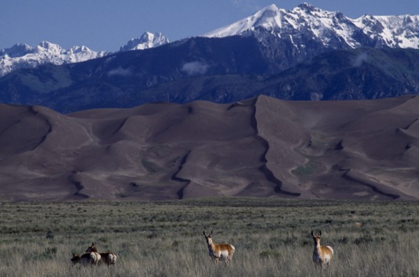 USA, Colorado, Saguache, Great Sand Dunes National Monument. Snow capped mountain landscape behind