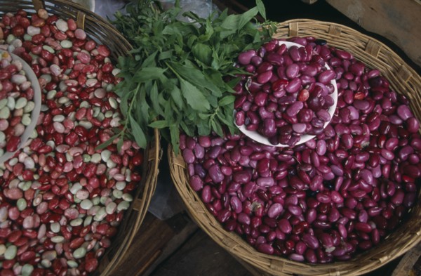 MEXICO, Chiapas, San Cristobal de Las Casas, "Pink, white and red shelled beans displayed in