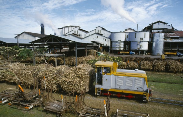 PACIFIC ISLANDS, Melanesia, Fiji, "Viti Levu, south. Sugar cane refinery with train loaded with cut