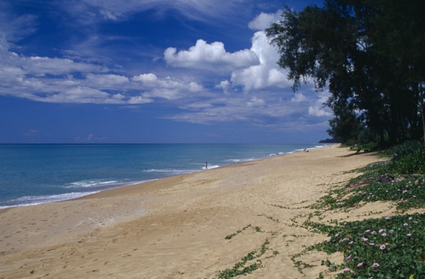 THAILAND, Phuket , Mai Khao Beach, View along quiet sandy beach fringed with trees and vegetation