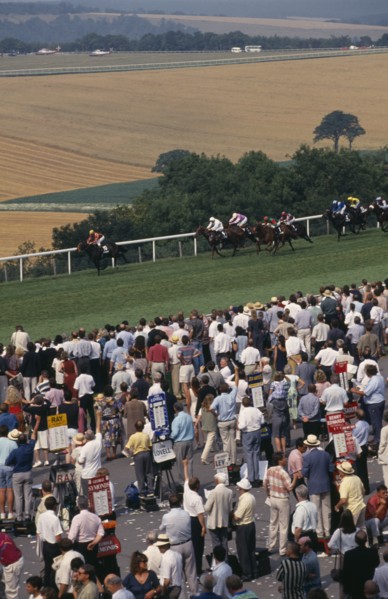 20026915 ENGLAND West Sussex Goodwood Crowds and line of bookmakers watching horse race at Goodwood racecourse on the South Downs.