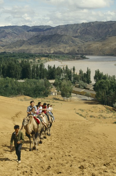 CHINA, Ningxia, Yellow River, People on traveling up hill on camels