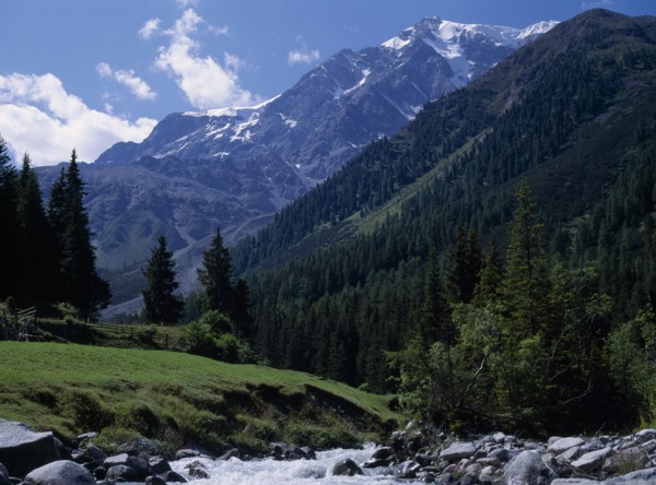 ITALY, Trentino, Suldental, "Landscape with Mount Ortler (3905 m) in background, densely wooded
