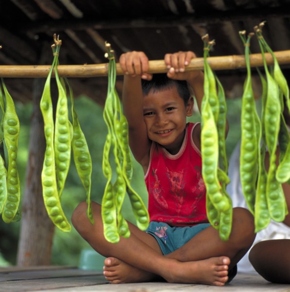 THAILAND, South, Phuket, Seated smiling small boy in red T-shirt holding a pole with hanging green