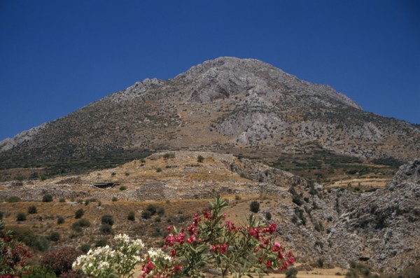 GREECE, Peloponesse, Mycenae, Countryside and ruins with flowering shrubs in foreground.