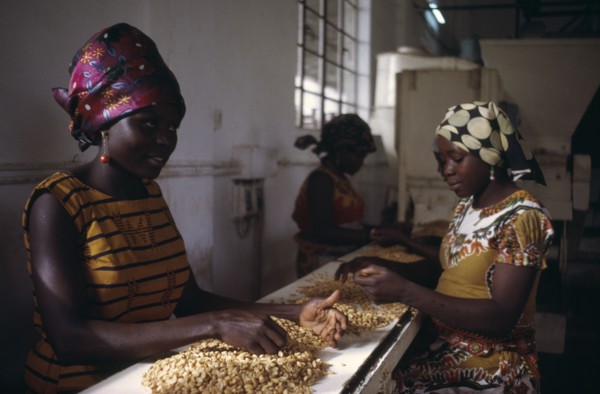 NIGERIA, Kano, Women working in groundnut oil factory.