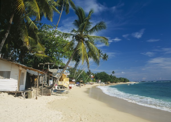 SRI LANKA, Unawatuna, Narrow sandy beach lined with vegetation and overhanging palm trees with