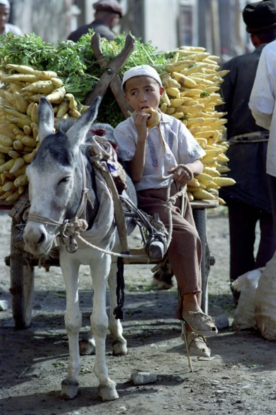 CHINA, Xinjiang, Kashgar, Young boy eating and sitting on a donkey pulled cart loaded with Parsnips