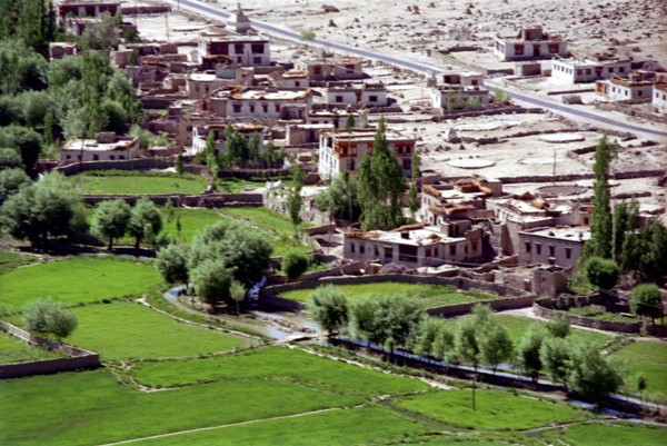 INDIA, Ladakh, View over village houses with water run along the edge of cultivated fields