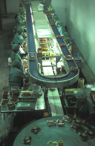 SOUTH AFRICA, Western Cape, Stellenbosch, Female production line workers grading and packing