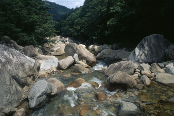 SOUTH KOREA, Kangwon, Soraksan National Park, Sorak Mountains.  Stream flowing over large rocks and