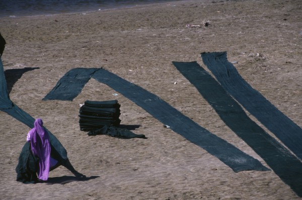 INDIA, Uttar Pradesh, Agra, Woman drying dyed cloth on the edge of the Yamuna River.