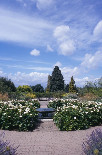 20059209 ENGLAND Surrey Woking Wisley Royal Horticultural Society Garden. View through path into formal garden with fountain .