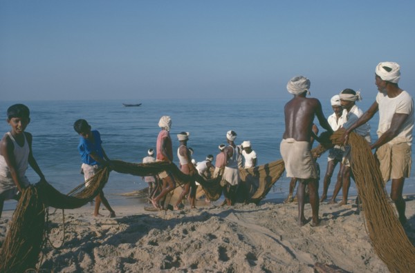 INDIA, Kerala, Kovalam, Fishermen on beach pulling in nets.
