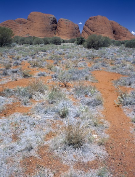 AUSTRALIA, Northern Territory, Kata Tjuta National Park, The Olgas seen from the Sunset Viewing