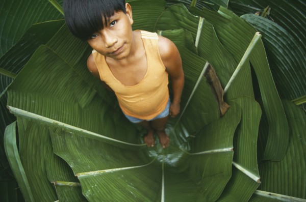 COLOMBIA, Amazonas, Santa Isabel, Young Macuna boy standing in a hole lined with Heliconia leaves