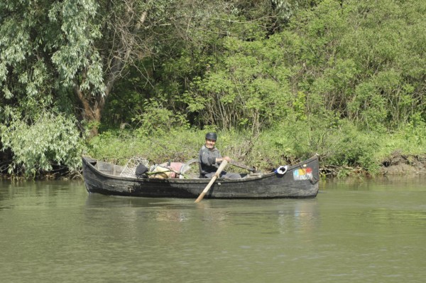 ROMANIA, Tulcea, Danube Delta, Fisherman transporting cycle and goods in a country boat in Danube