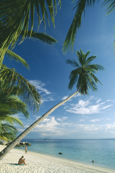 MALAYSIA, Terengganu, Perhentian Besar, Quiet sandy beach with overhanging palm trees and