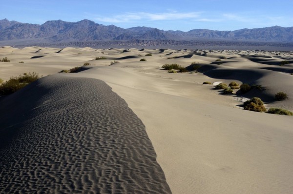 USA, California, Death Valley, View along the ridge of a sand dune in the desert landscape with a