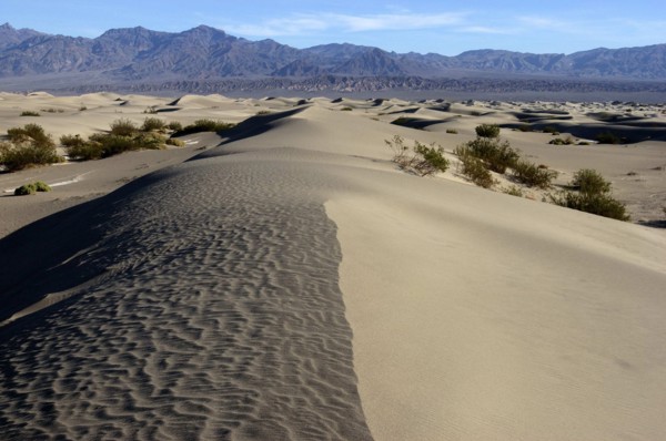 USA, California, Death Valley, View along the ridge of a sand dune in the desert landscape with a