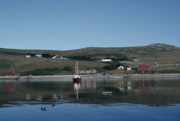 FALKLAND ISLANDS, West Point Island, View over the settlement.