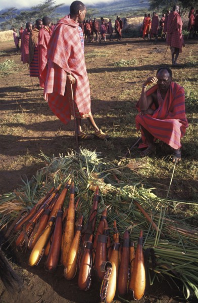 KENYA, Kajiado, Gourds filled with honey beer are lined up at the beginning of the initiation