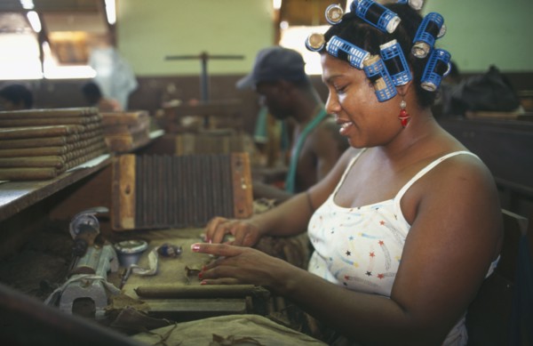 CUBA, Havana, Female worker with her hair in curlers rolling cigars in factory.