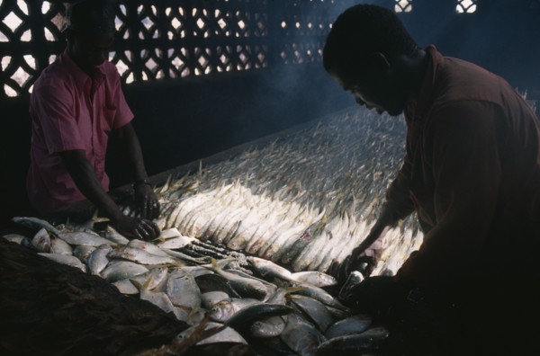 GAMBIA, Industry, Smoking fish