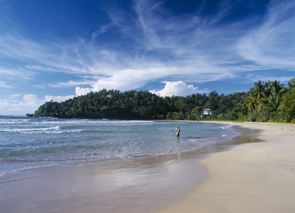SRI LANKA, Pallikkudawa, Quiet sandy beach fringed with palm trees on the south coast with