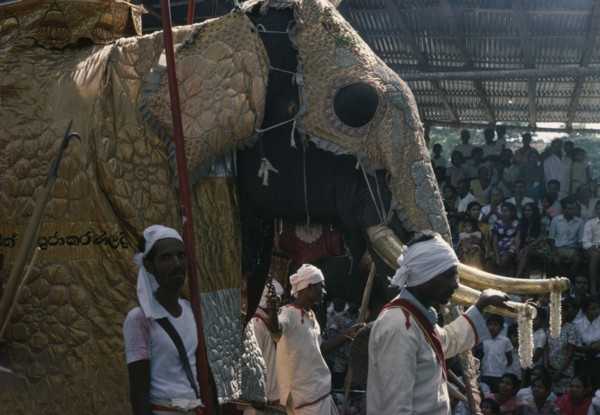 SRI LANKA, Kandy, Perahera annual festival procession and the Great Elephant Parade