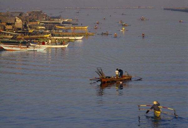 PHILIPPINES, Luzon Island, Manila, Fishing boats