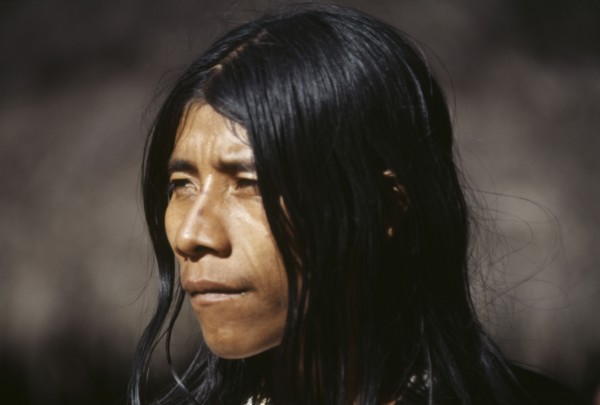 COLOMBIA, People, Kogi, Portrait of a young Kogi man