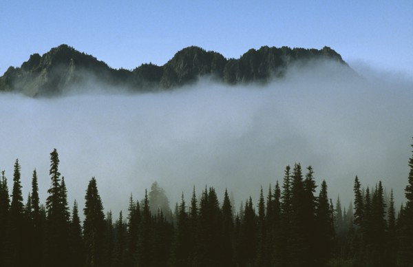 USA, Washington State, Mount Rainier National Park, Mount Ranier Peaks above the clouds with row of