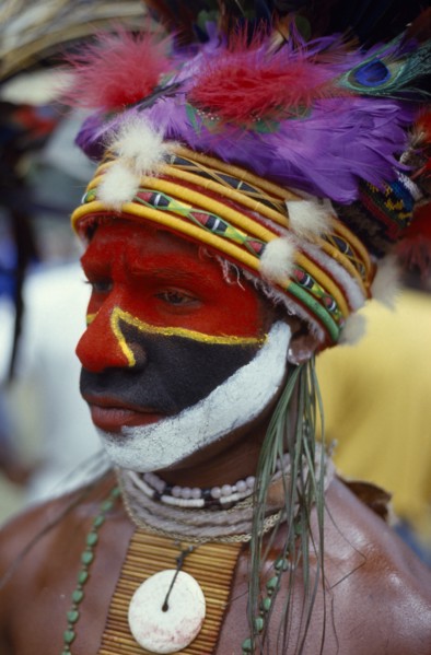 PAPUA NEW GUINEA, Tribal People, Eastern Highlander with head dress made of dyed chicken feathers