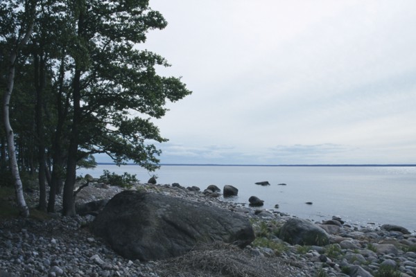 ESTONIA, Lahemaa Nat. Park, Baltic coastal landscape.