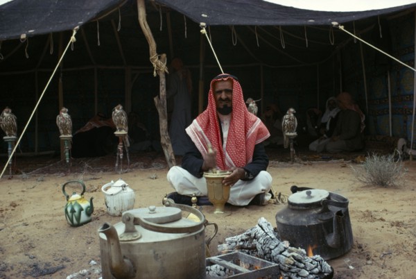 MIDDLE EAST, Bedouin, Bedouin man sitting outside his tent with row of pirched falcons behind him
