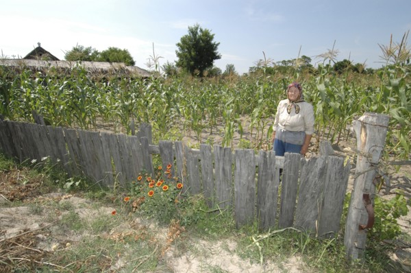 ROMANIA, Tulcea, Danube Delta Biosphere Reserve, Elderly female farmer standing in corn field