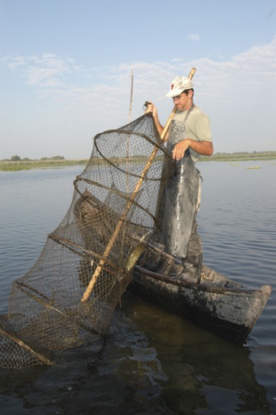 ROMANIA, Tulcea, Danube Delta Biosphere Reserve, Professional fisherman in canoe on Lake Isac
