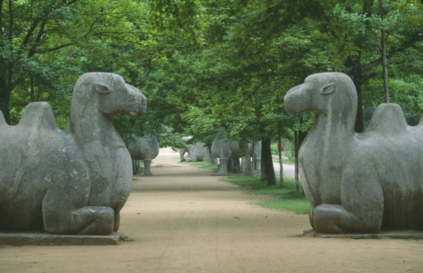 CHINA, Jiangsu, Zinjinshan, Pair of camels in avenue of animal statues at the Ming Tomb of Hong Wu