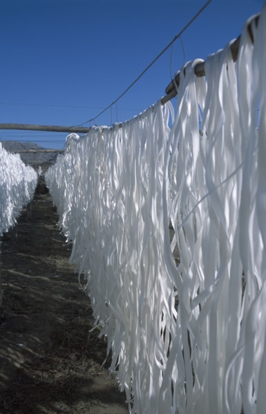 CHINA, Gansu, Potato noodles hanging on racks outside to dry.